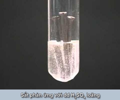 Acid là gì. Bách Khoa Tri Thức
