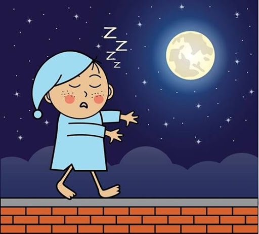 Bạn có tin có người vừa đi vừa ngủ không. Bách Khoa Tri Thức