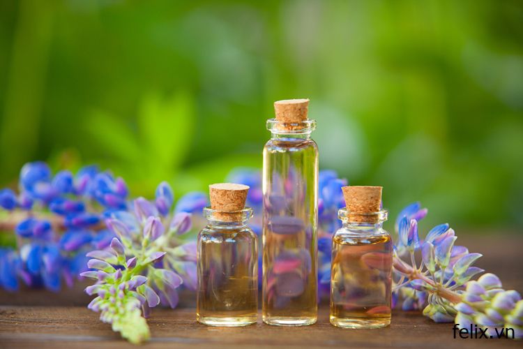 Bằng cách nào từ bông hoa chế tạo ra dầu thơm. Bách Khoa Tri Thức