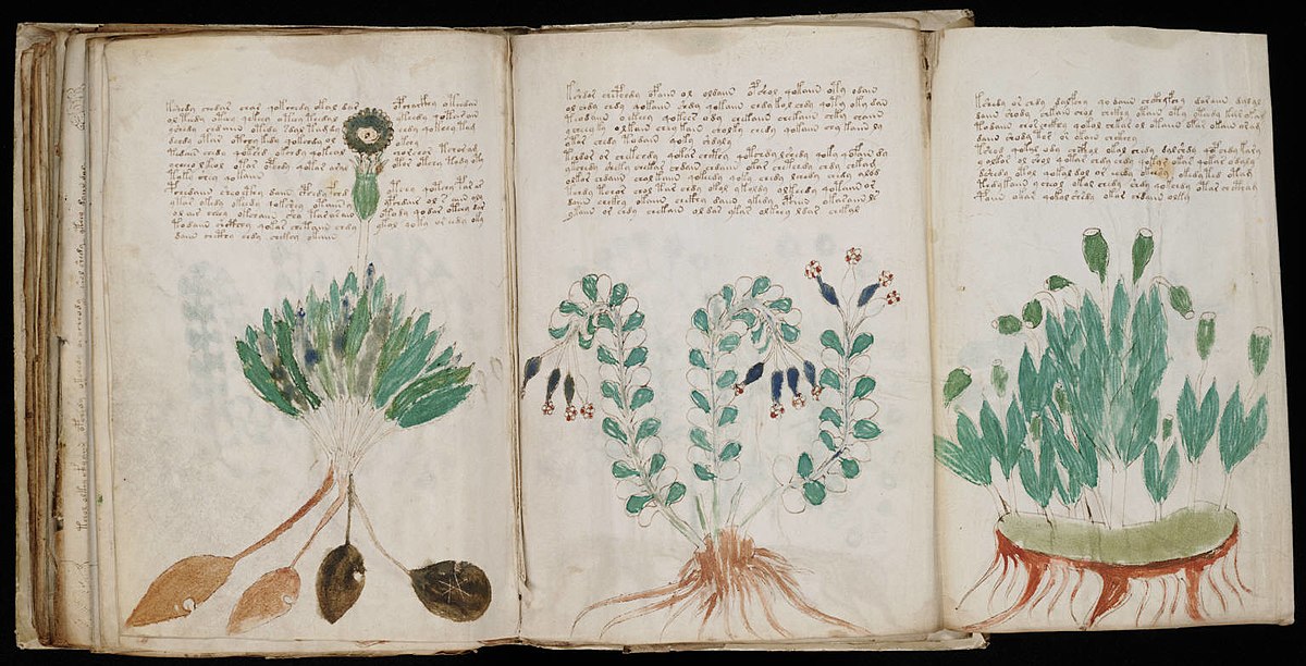 Bí ẩn xung quanh cuốn di cảo voynich thế kỷ xiii. Bách Khoa Tri Thức