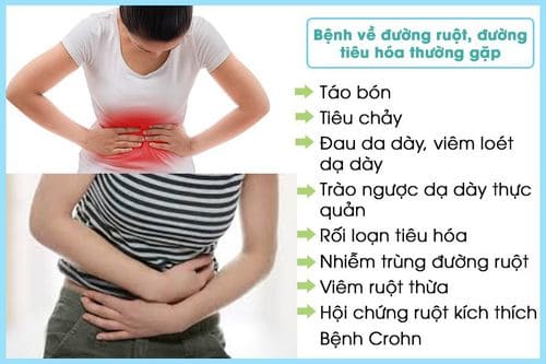 Các sự cố nào thường gặp ở hệ tiêu hóa. Bách Khoa Tri Thức