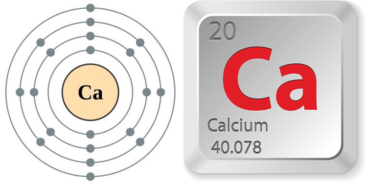 Calcium là chất liệu gì. Bách Khoa Tri Thức