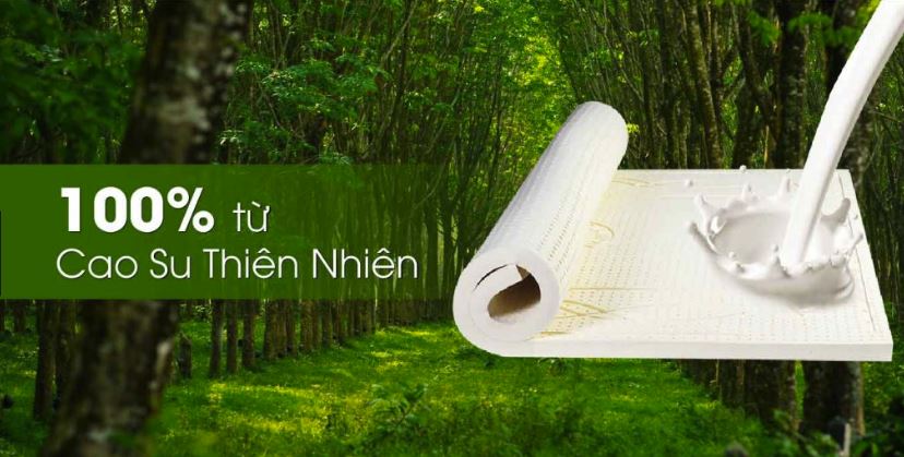 Cao su là gì. Bách Khoa Tri Thức