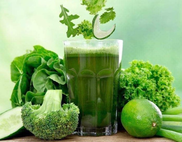 Chất diệp lục tố là gì. Bách Khoa Tri Thức