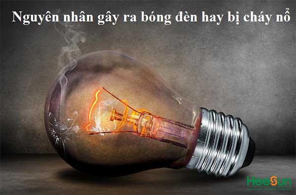 Có đúng là bóng đèn tròn sẽ dùng được lâu hơn nếu bạn luôn để nó sáng. Bách Khoa Tri Thức