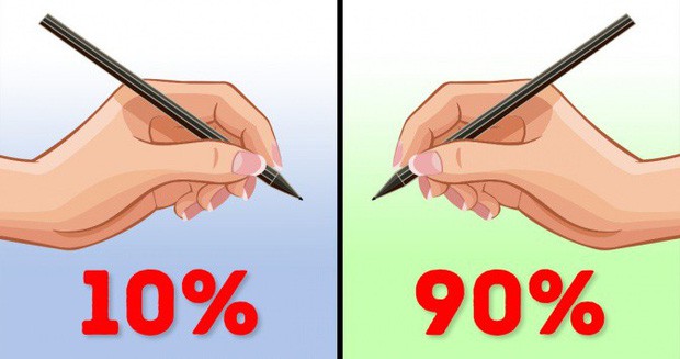 Có phải tất cả động vật thường thuận tay phải. Bách Khoa Tri Thức