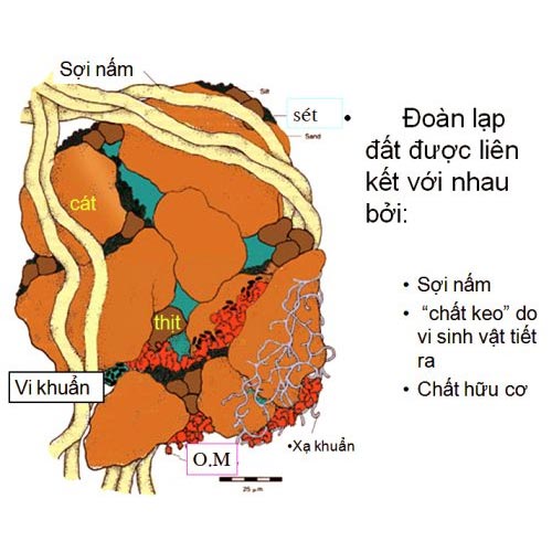 Đất được cấu tạo bằng chất gì. Bách Khoa Tri Thức