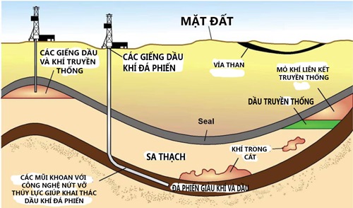 Dầu mỏ và khí tự nhiên được hình thành như thế nào. Bách Khoa Tri Thức