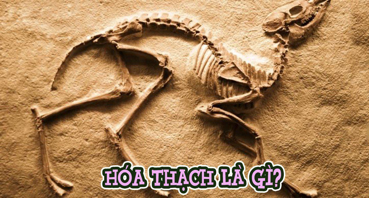 Địa khai là gì. Bách Khoa Tri Thức