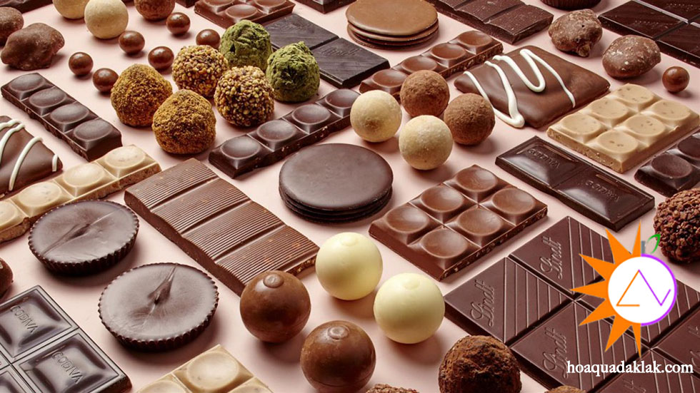 Kẹo sô-cô-la được chế tạo như thế nào. Bách Khoa Tri Thức