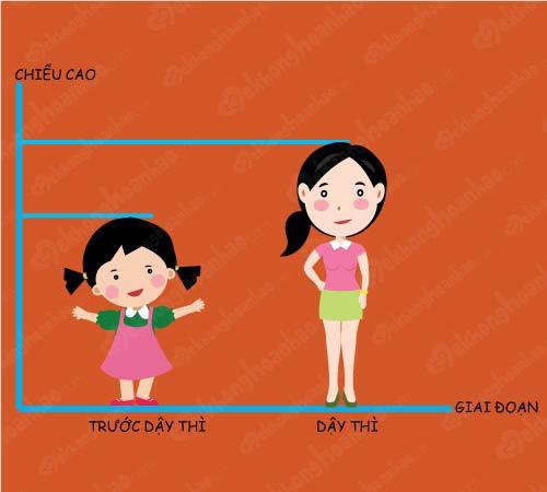 Khi nào thì bắt đầu tuổi dậy thì. Bách Khoa Tri Thức