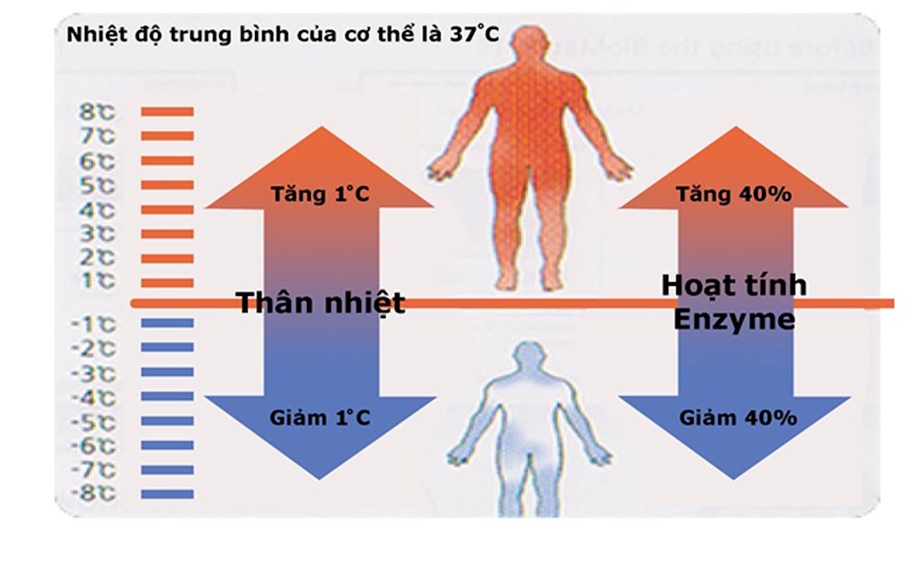 Làm thế nào kiểm soát thân nhiệt. Bách Khoa Tri Thức