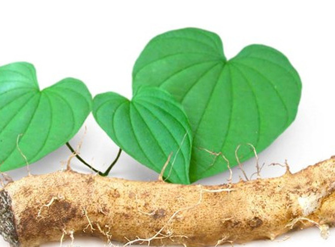Loài thảo mộc phát sinh từ đâu. Bách Khoa Tri Thức