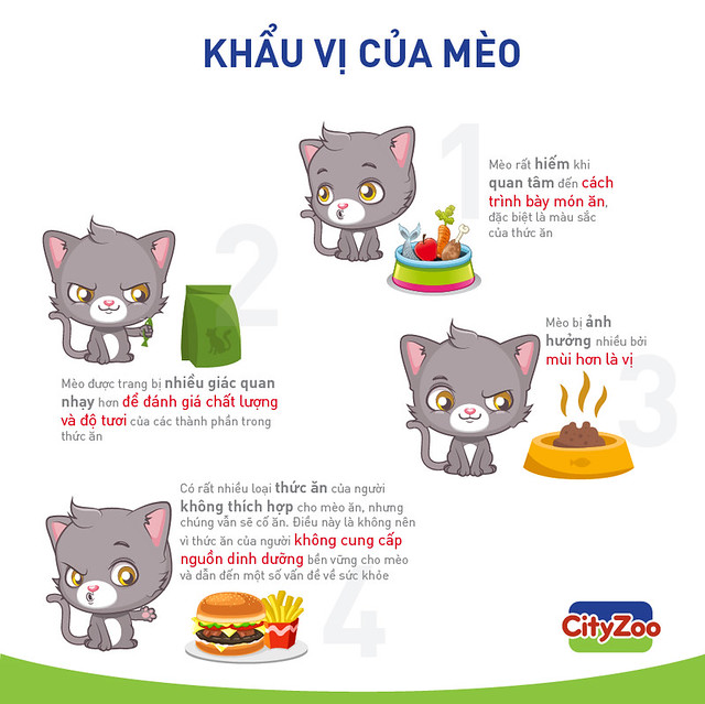 Loài vật có vị giác không. Bách Khoa Tri Thức