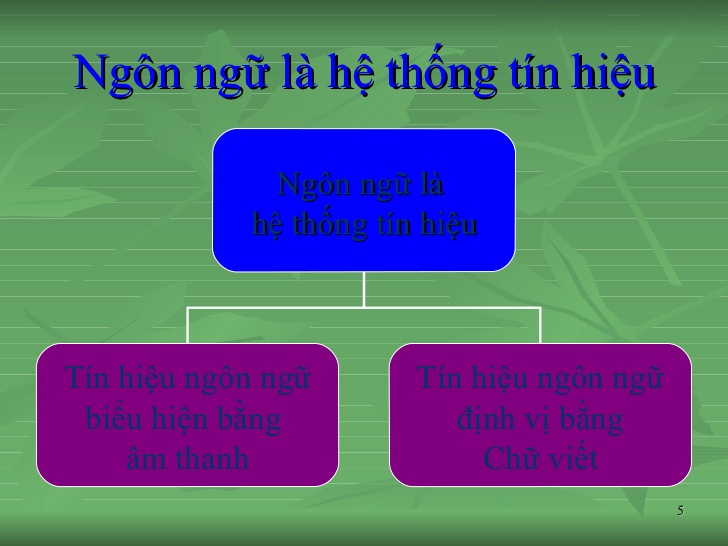 Ngôn ngữ là gì. Bách Khoa Tri Thức