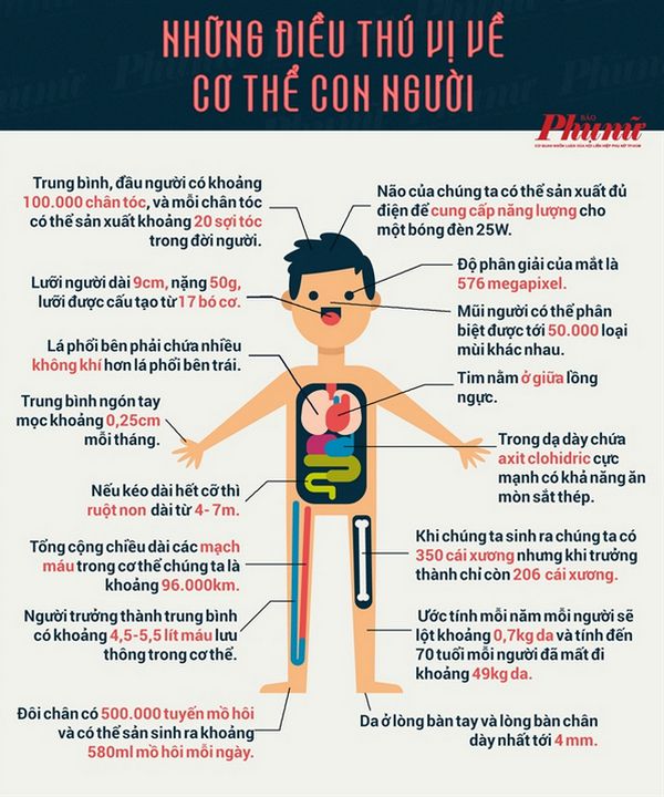 Những điều chưa biết về cơ thể con người. Bách Khoa Tri Thức