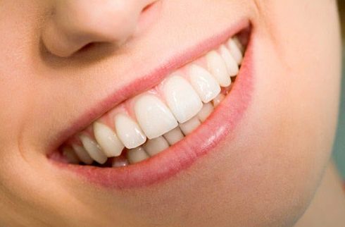 Răng của con người có phải cùng một thứ với răng súc vật. Bách Khoa Tri Thức
