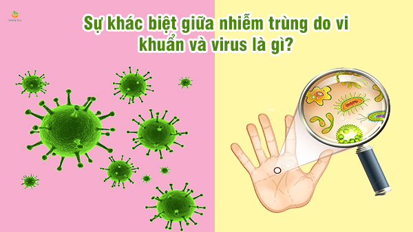 Sự khác biệt giữa vi khuẩn và virus là gì. Bách Khoa Tri Thức
