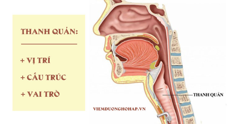 Ta nói như thế nào. Bách Khoa Tri Thức