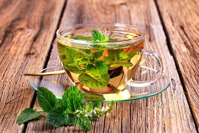 Tại sao bạc hà làm hơi thở có cảm giác lạnh. Bách Khoa Tri Thức