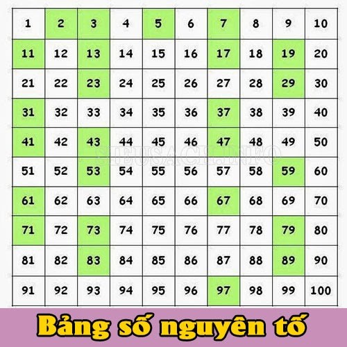 Tại sao các nhà toán học lại rất hứng thú với các số nguyên tố. Bách Khoa Tri Thức