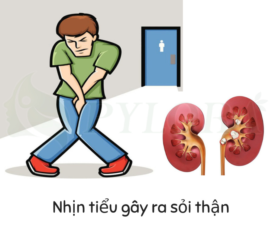 Tại sao chúng ta mắc tiểu. Bách Khoa Tri Thức