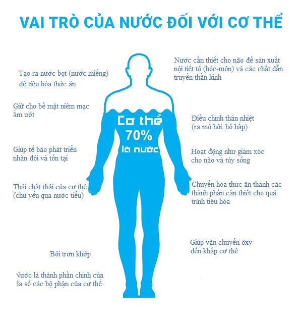 Tại sao cơ thể ta cần nước. Bách Khoa Tri Thức