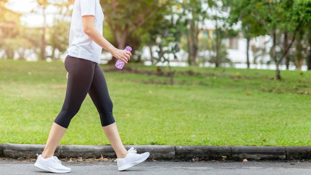 Tại sao con người đi thẳng trên hai chân. Bách Khoa Tri Thức