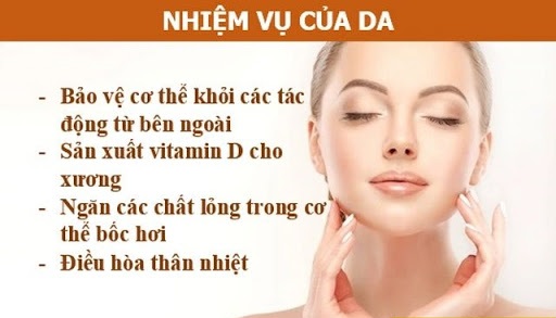 Tại sao da được coi là chiếc ô  che nắng. Bách Khoa Tri Thức