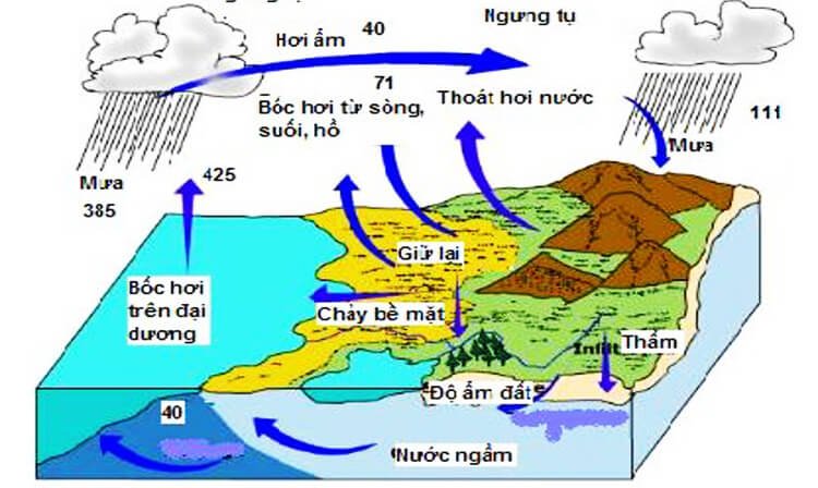 Tại sao lại có nước ngầm. Bách Khoa Tri Thức