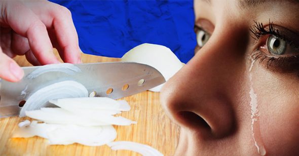 Tại sao mùi hành làm ta chảy nước mắt. Bách Khoa Tri Thức