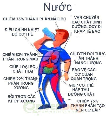Tại sao nước cần thiết cho chúng ta. Bách Khoa Tri Thức