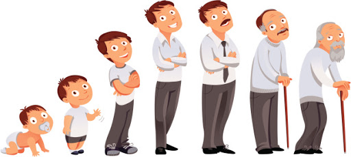Tại sao ta lại không tiếp tục lớn nữa. Bách Khoa Tri Thức