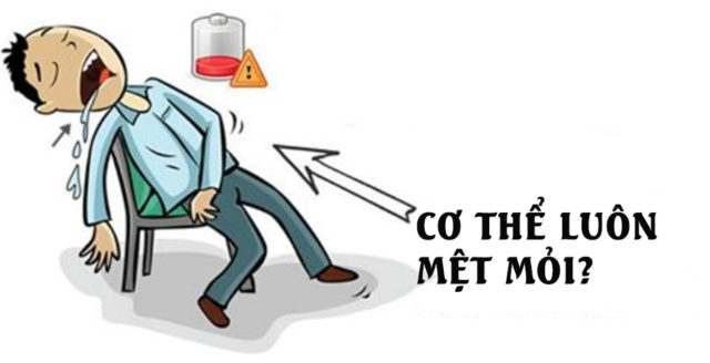 Tại sao ta mệt. Bách Khoa Tri Thức