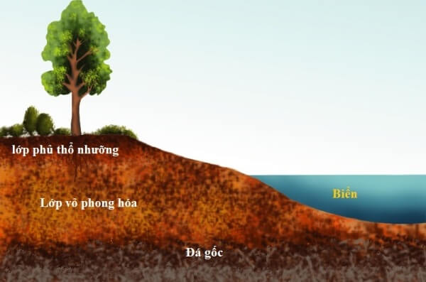 Tại sao thổ nhưỡng lại có màu sắc. Bách Khoa Tri Thức
