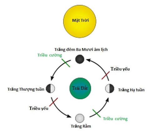 Tại sao vào ngày mồng một và ngày rằm lại có triều cường. Bách Khoa Tri Thức