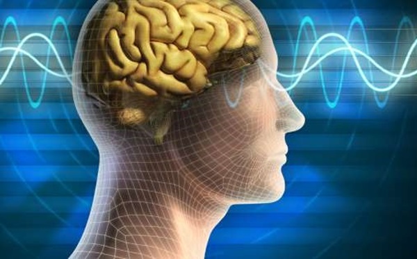 Tìm hiểu não bộ kẻ giết người hàng loạt. Bách Khoa Tri Thức
