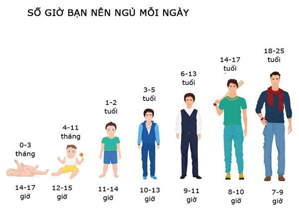 Vì sao ngủ được mới có thể phát triển chiều cao. Bách Khoa Tri Thức
