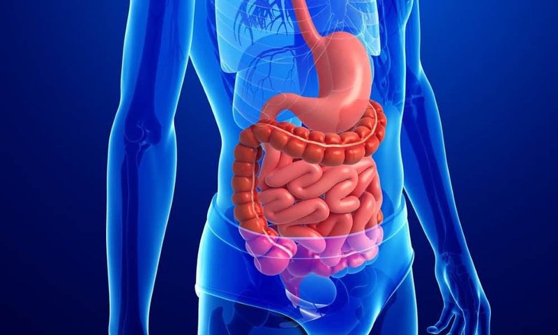 Xưởng gia công thực phẩm. Bách Khoa Tri Thức