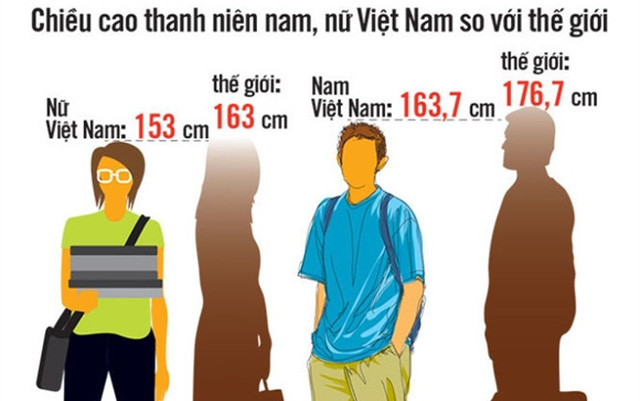 Xương và bắp thịt có liên quan gì đến chiều cao và sức lực. Bách Khoa Tri Thức