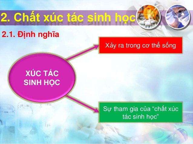 Chất xúc tác trong cơ thể sinh vật. Thế Giới Động Vật