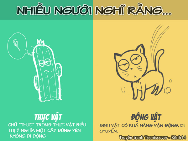 Động vật khác với thực vật ở điểm nào. Thế Giới Động Vật
