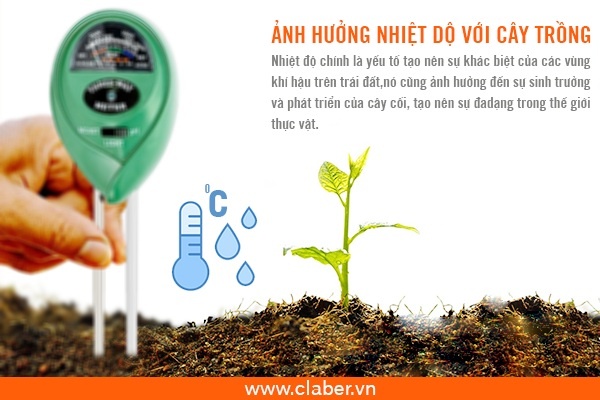 Ảnh hưởng của nhiệt độ tới thực vật. Thực Vật
