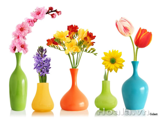 Cách để giữ lọ hoa tươi lâu. Thực Vật