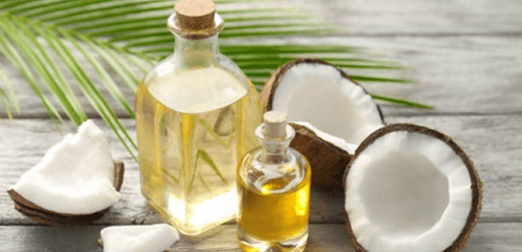 Cây dưa dầu. Thực Vật