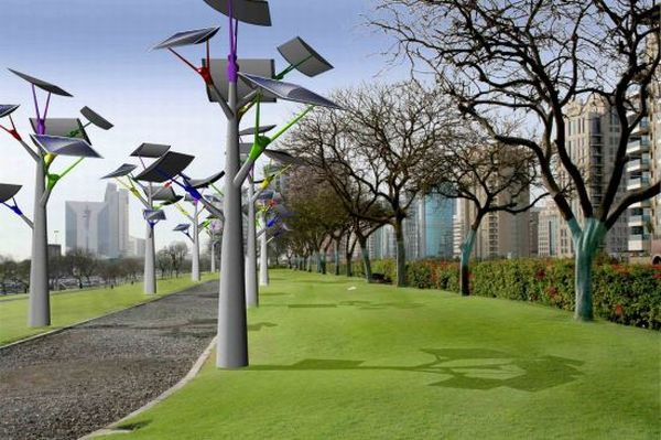 Cây nhựa có thể xanh hóa sa mạc. Thực Vật