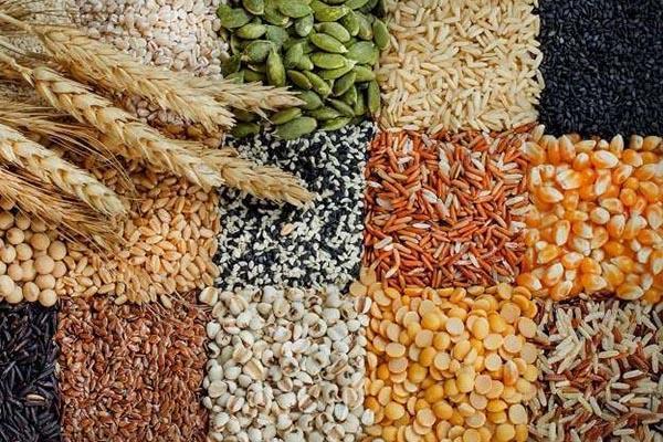 Đặc tính dẻo của lương thực ngũ cốc. Thực Vật