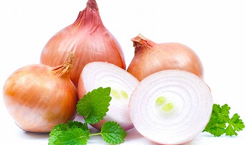 Hành tây có thể để được rất lâu. Thực Vật