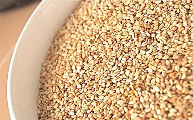Hạt giống nhỏ nhất trong các loài thực vật. Thực Vật