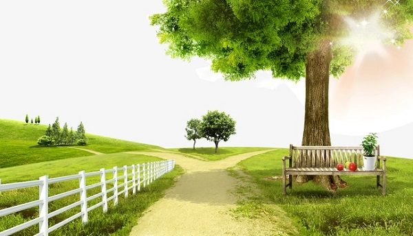 Màu sắc cũng là phân bón. Thực Vật